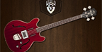 Guild : le retour de la Starfire