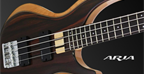 Aria IGB-Rosie