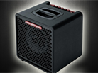 Ibanez P3110 : le petit costaud : 300 W