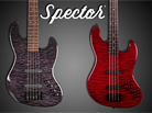Spector Coda Pro 4 & 5