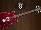 Guild : le retour de la Starfire