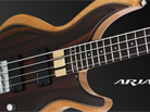 Aria IGB-Rosie