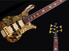 Spector ressort la basse NS-5, modèle haut de gamme 
