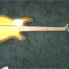 GODIN Tele bass Lr baggs