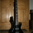 ESP LTD ESP/LTD TA-600 Tom Araya signature