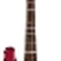 Warwick Streamer LX