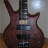 Shine SOB705