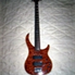 Peavey CIRRUS BXP 5 cordes bubinga