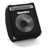 Hartke A-100