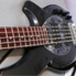 ErnieBall MusicMan Bongo 5 HH