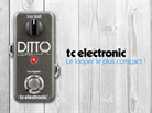 TC electronic Ditto : le mini looper 