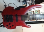 Warwick Vampyre SN 5 Custom Shop