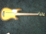 GODIN Tele bass Lr baggs