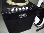 Peavey Max 110