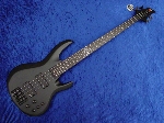ESP B-2005