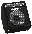 Hartke A-100