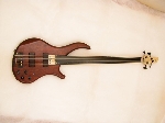 Noguera Expression Fretless 4C