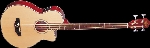 Oscar Schmidt by Washburn OB100