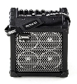 Roland Micro Cube Bass RX