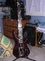 Ibanez sr506