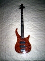 Peavey CIRRUS BXP 5 cordes bubinga