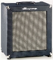 AMPEG B100R